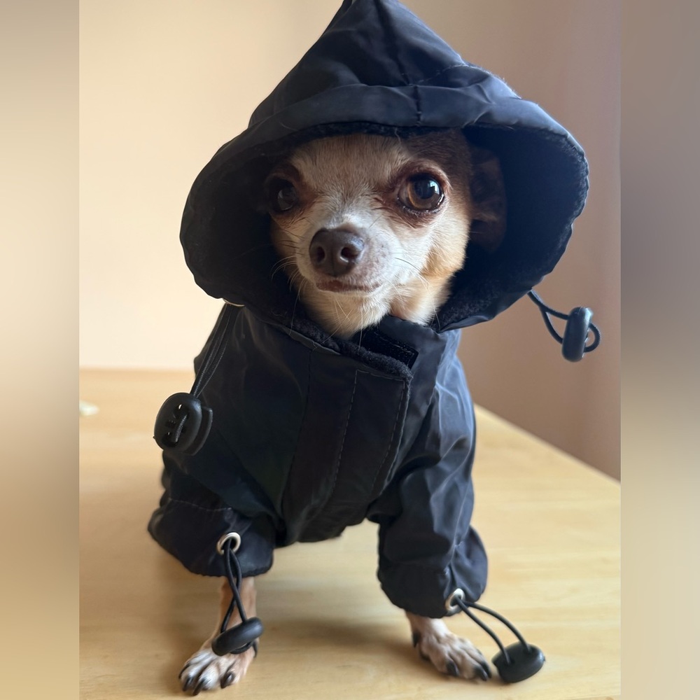 ✨ Holographic/Reflective Waterproof Hooded Dog Jacket – XS  ✨